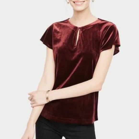Ann Taylor Tops - Ann Taylor burgundy Velvet Flutter Sleeve Top sz M